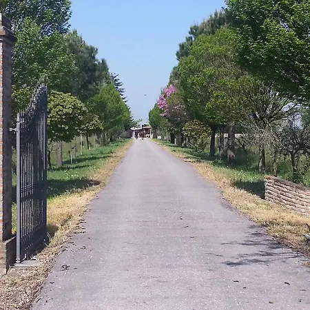 Agriturismo L'angelina *